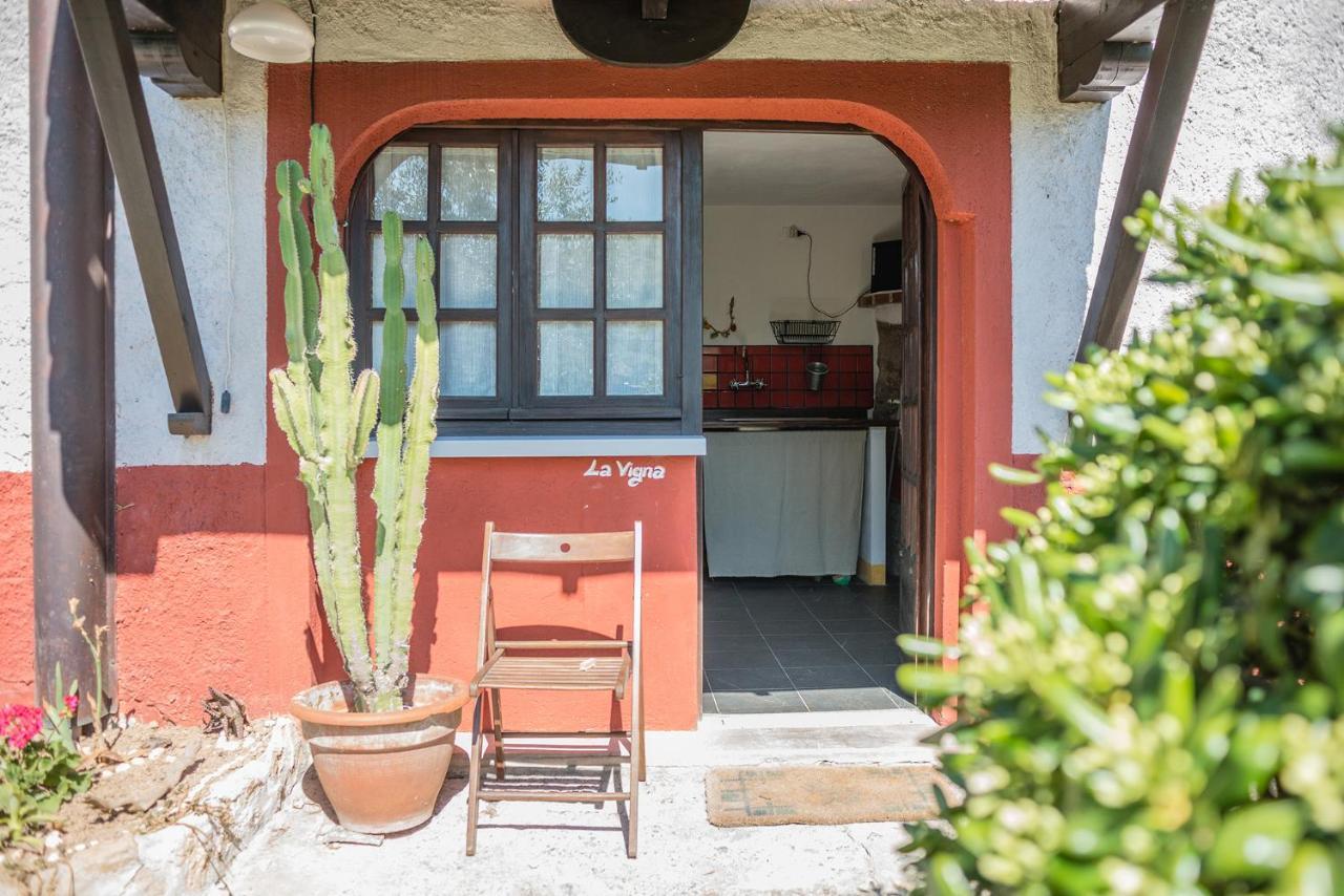 La Fattoria Di Nonna Eugenia Bed & Breakfast Lerici Ngoại thất bức ảnh