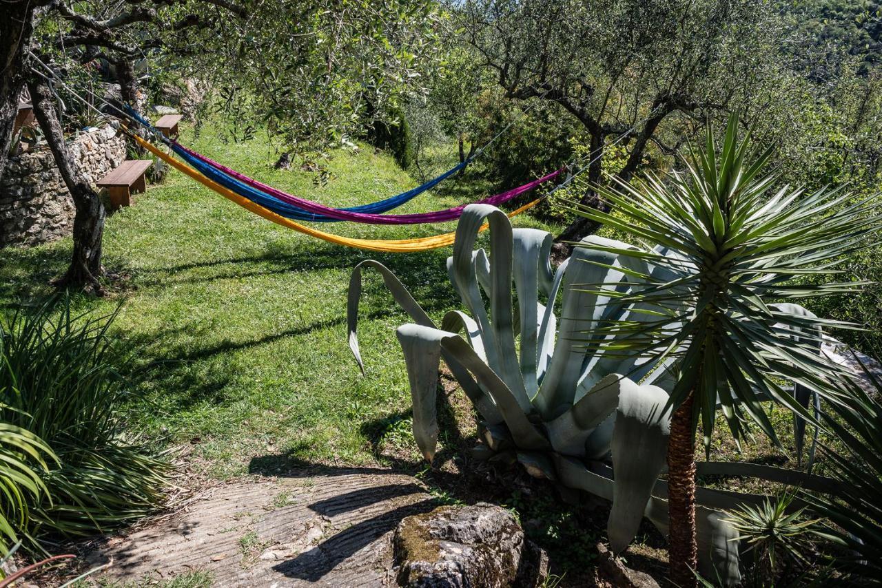 La Fattoria Di Nonna Eugenia Bed & Breakfast Lerici Ngoại thất bức ảnh