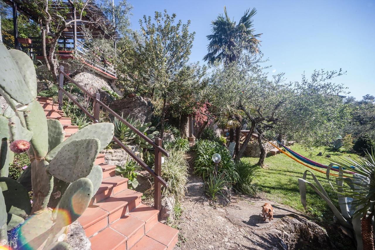 La Fattoria Di Nonna Eugenia Bed & Breakfast Lerici Ngoại thất bức ảnh