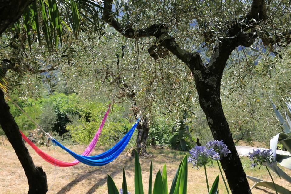 La Fattoria Di Nonna Eugenia Bed & Breakfast Lerici Ngoại thất bức ảnh