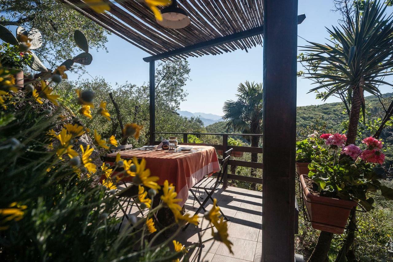 La Fattoria Di Nonna Eugenia Bed & Breakfast Lerici Ngoại thất bức ảnh